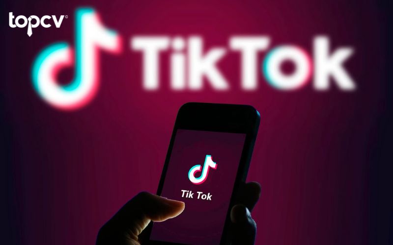 Có nhiều lỗi khác nhau khiến cho TikTok Ads của bạn không được duyệt