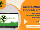 Screaming frog là gì? Cách dùng Screaming frog tối ưu website